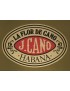 LA FLOR DE CANO