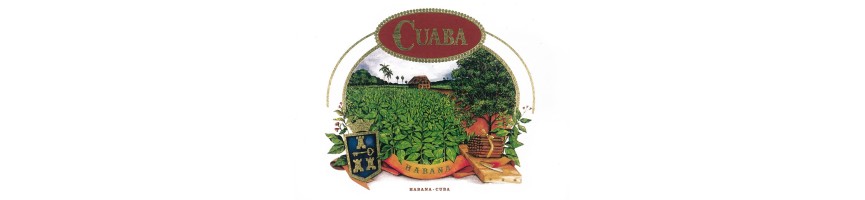 CUABA