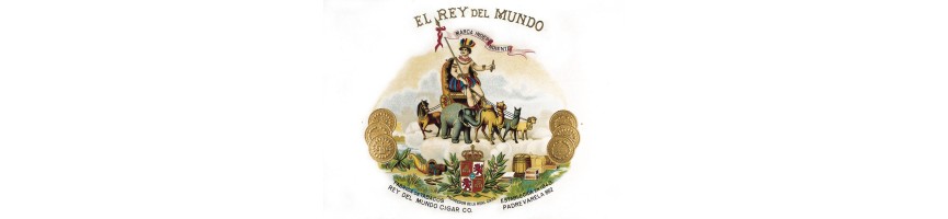 REY DEL MUNDO